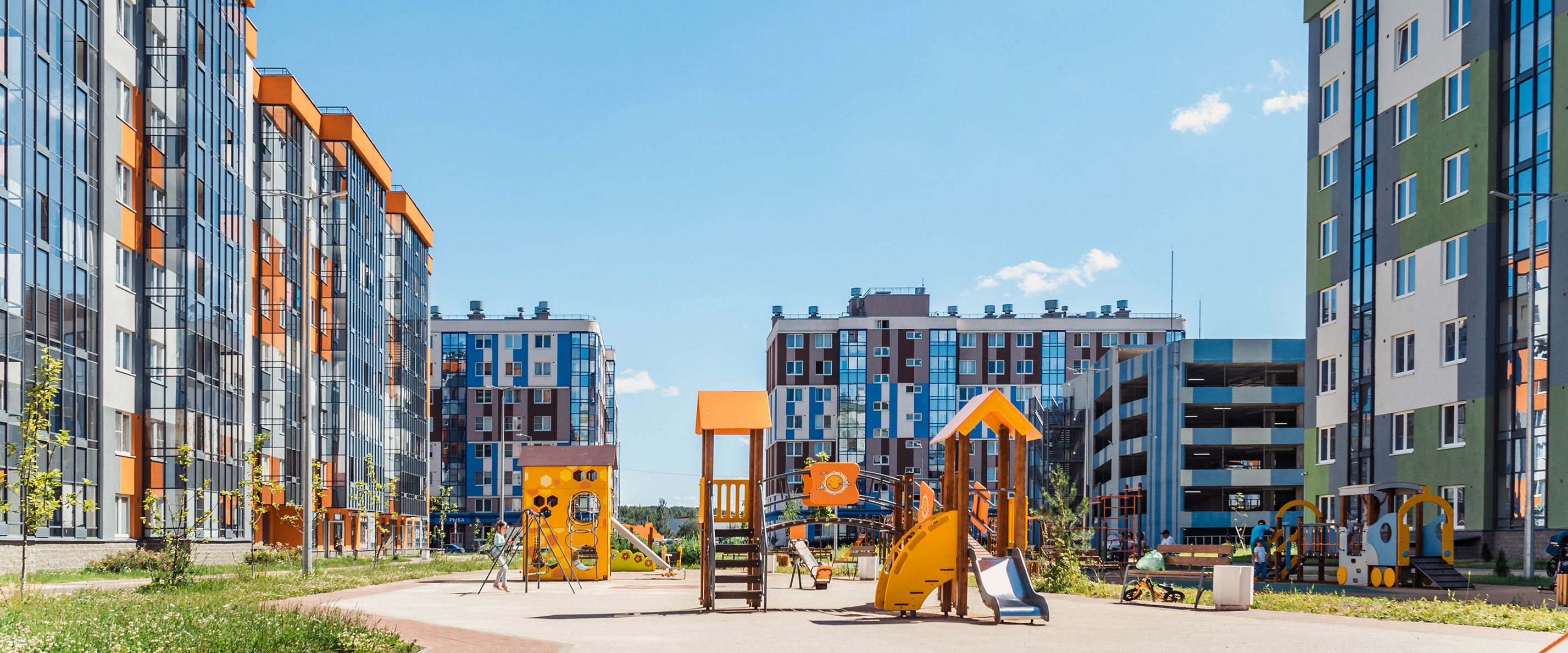 Ясно Янино Лес 3