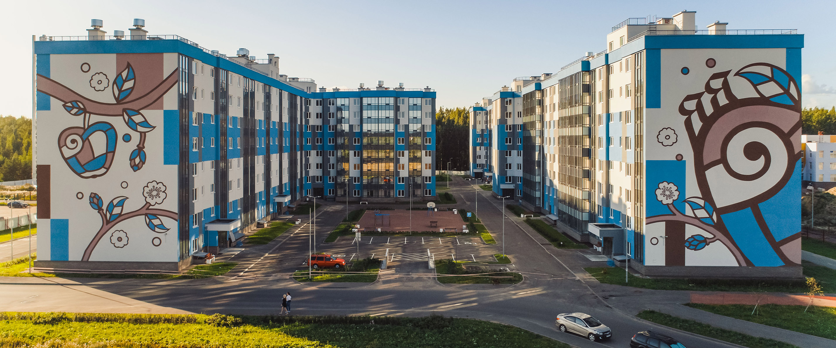 Ясно Янино Лес 4