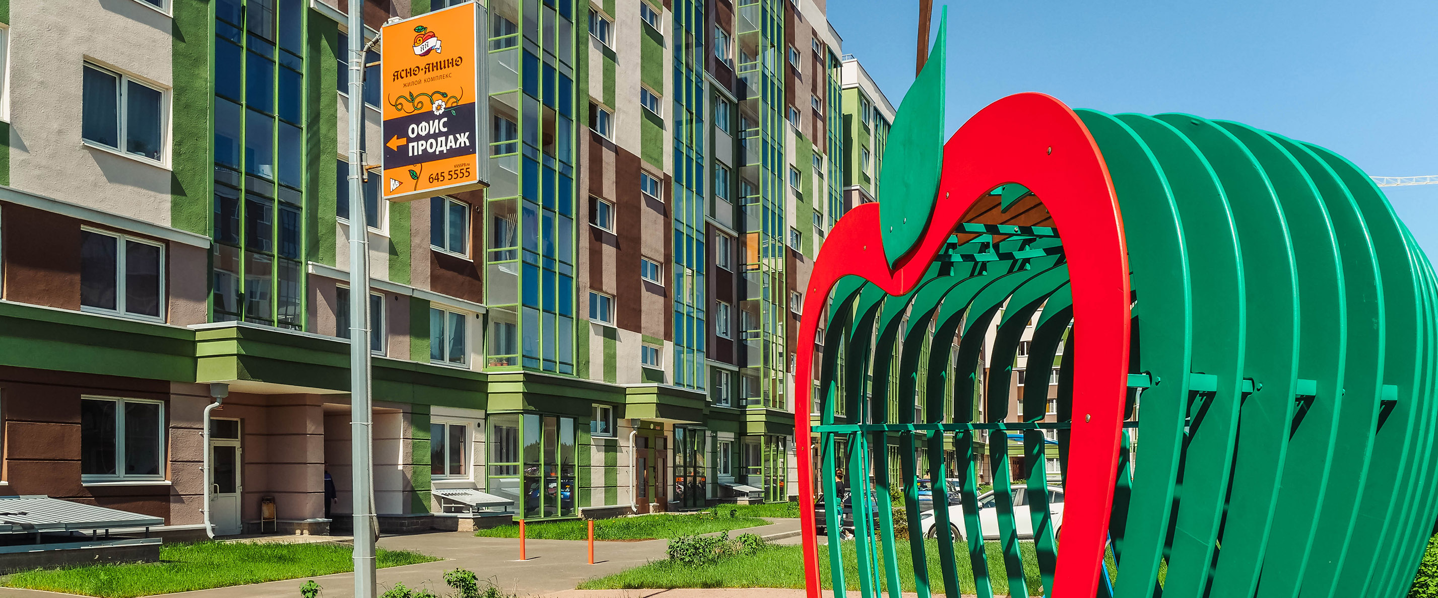 Ясно Янино Лес 5